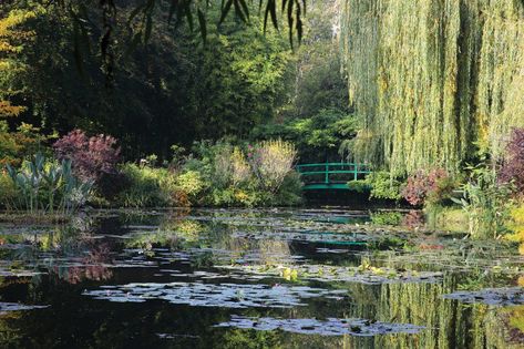 Monet Quilt, Pond With Bridge, Taman Vintage, Monet Japanese Bridge, Quince Blossom, Pond Aesthetic, Landscape With Water, Monet Wallpaper, Pond Photography