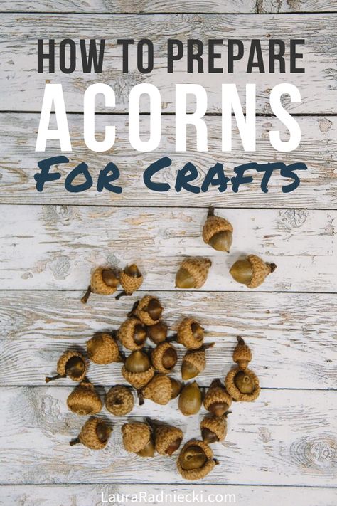 Want to try acorn crafts? Here's how to dry and preserve acorns for crafts or decorating using vinegar, water, and baking them in the oven! You can clean acorns you collect from the ground and prepare them to use in all of your craft projects! #acorns #crafts #acorncrafts #lauraradniecki Preserving Acorns For Crafts, How To Clean Acorns For Crafts, How To Use Acorns, How To Dry Acorns For Crafts, Preparing Acorns For Crafts, Acorn Wreaths Fall Crafts, Acorn Hat Crafts, Acorn Kids Crafts, Acorn Arts And Crafts