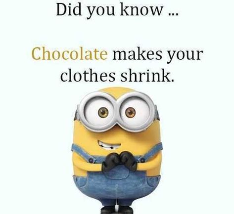 The Best Minion Pictures Of The Week | The Funny Beaver Funny Quotes For Women, Funny Minion Memes, Minion Pictures, Minion Jokes, Minions Love, A Minion, Quotes For Women, Minion Quotes, Funny Minion Quotes