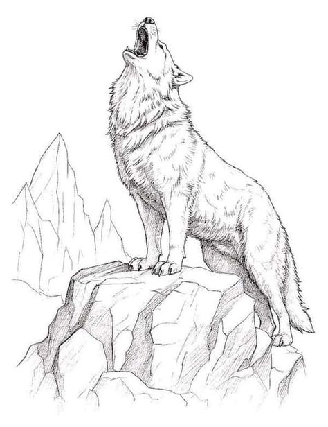 31 Majestic Wolf Coloring Pages For Kids And Adults Drawing Ideas Wolf, Drawing Of Wolf, Wolf Howling Drawing, Wolf Drawing Tattoo, Wolf Art Drawing, Wolf Coloring Pages, Howling Wolf Tattoo, Mountain Sketch, Majestic Wolf