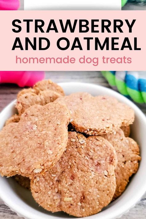 Oatmeal Dog Treats, Gluten Free Dog Treats, Dog Cookie Recipes, Pet Treats Recipes, Dog Treats Homemade Easy, Easy Dog Treat Recipes, Strawberry Oatmeal, Dog Biscuit Recipes, Easy Dog Treats