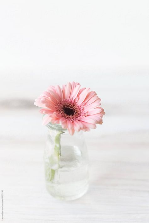 Vision 2024, Pink Daisy, House Wedding, Bud Vase, Wooden Table, Wooden Tables, Pretty Pink, Pink Flower, Bud Vases