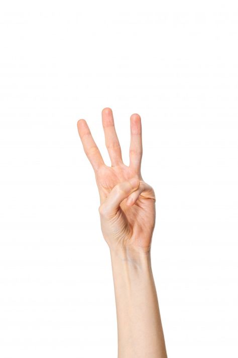 Woman hand showing three fingers on whit... | Premium Photo #Freepik #photo #hand Three Fingers Up, Reference Hands, Hands Gesture, Hands Reference, Hand References, Four Fingers, Hand Poses, Hand Png, Peaky Blinders Characters