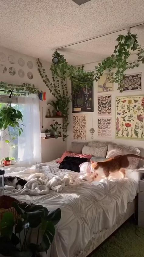 Bedroom with hanging vines, cute mushroom and cottage core vibe. <3 Cottagecore Room, Closet Bed, Tiny Bedrooms, Bed In Closet Ideas, Indie Room Decor, Dekorasi Kamar Tidur, Pinterest Room Decor, Room Deco, Indie Room