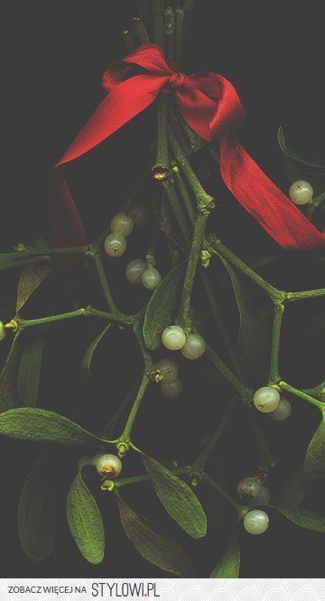 Christmas Wallpaper Mistletoe, Yule Backgrounds Wallpapers, Christmas Mistletoe Aesthetic, Mistletoe Aesthetic, Mistletoe Background, Mistletoe Wallpaper, Seasonal Backgrounds, Bookstagram Photos, Christmas Time Is Here