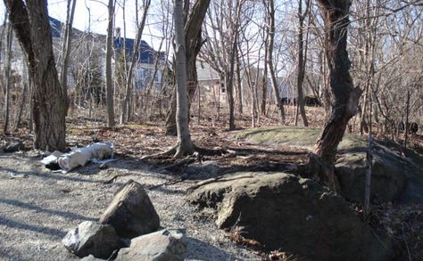 view from Gallows Hill today Gallows Hill, The Hanging Tree, Witch Horror, Salem Mass, Salem Witch Trials, Salem Massachusetts, Hanging Tree, Witch Trials, Salem Ma