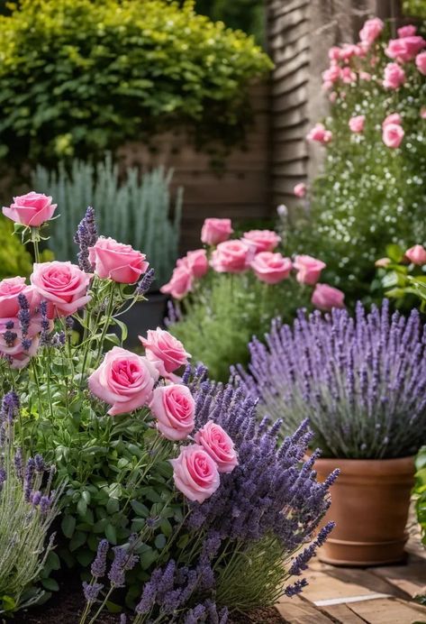 Rose Lavender Garden, Pink And Purple Flower Garden, English Lavender Landscaping, Roses And Lavender Garden, Rose And Lavender Garden, Planting Lavender Outdoors, Lavender In Garden, Rose Garden Ideas Backyards, What To Plant With Roses