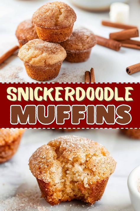 These snickerdoodle muffins are a soft, lightly spiced dream come true. But be warned - they disappear FAST, so you might want to make a double batch! Snickerdoodle Muffins Easy, Make Ahead Muffin Batter, Sweet Muffins Easy, Easy Morning Muffins, Large Batch Muffin Recipes, Snicker Doodle Muffins, Punkin Muffins Recipe Easy, Cinnamon Mini Muffins, Easy Fall Muffins