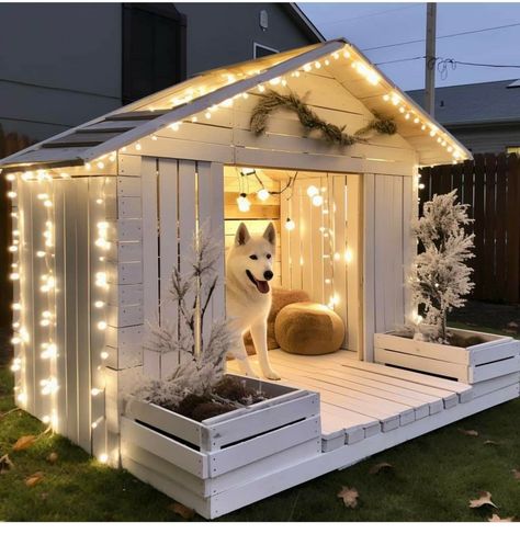 Upcycled Dog House, Kennel Ideas Outdoor, Pallet Dog House, Dog Backyard, Dog Room Decor, Pets Supplies, Dog Bedroom, Outdoor Improvements, Puppy Room