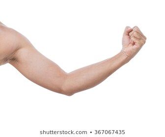 Arm Stock Photo, Arm Study, Arm Template, Arm Photo, Man Arm, Arm Anatomy, Wax Sculpture, Body Tattoo Design, Man Hand