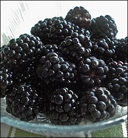 Blackberries In Containers, Pruning Blackberries, How To Grow Blackberries, Grow Blackberries, Growing Blackberries, Blackberry Bush, Growing Raspberries, Black Berries, Growing Fruit Trees