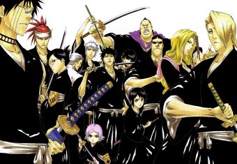 Bleach Swords, Bleach Captains, Abarai Renji, Ichigo Kurosaki Wallpaper, Kubo Tite, Kenpachi Zaraki, Rangiku Matsumoto, Toshiro Hitsugaya, Orihime Inoue