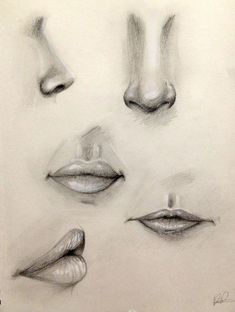 Nose and Lip Practice by Kaspiian on DeviantArt Sketch Nose, Lips Sketch, Realistic Eye Drawing, Mouth Drawing, Eye Sketch, Nose Drawing, Lips Drawing, Pencil Art Drawings, Drawing Practice