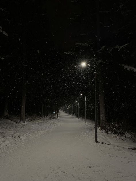 Snow At Night, Dark Weather, Snow Night, Snowy Night, Dark Street, Dark Christmas, Snowy Forest, Blue Curtains, Night Scenery