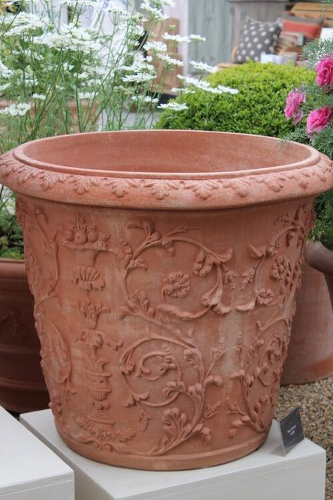 Ground Cover Plants Shade, Italian Terracotta Pots, Italian Terra Cotta Pots, Large Terracotta Pots, Italian Gardens, Terra Cotta Pottery, Tuscan Garden, Plant Pot Design, Planter Project