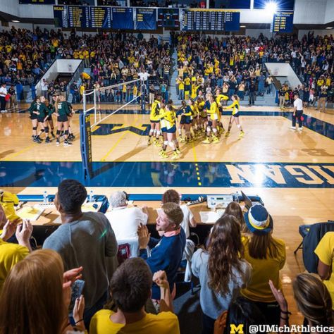 University Of Michigan Volleyball, Michigan Volleyball, U Michigan, Michigan Sports, Women Volleyball, Broken Leg, University Of Michigan, Dream School, College Team