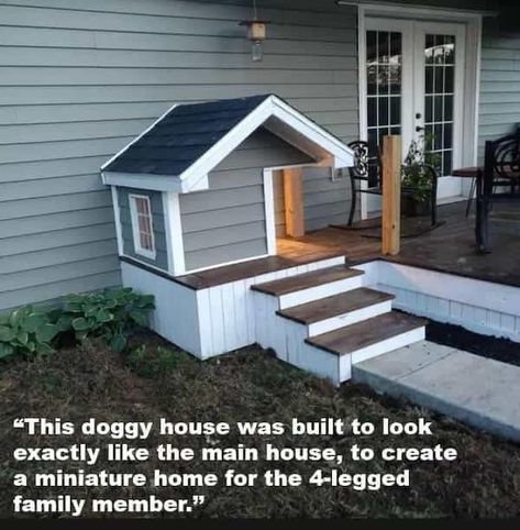 Katt Diy, Katt Grejer, Cool Dog Houses, Dog Spaces, Dog House Diy, Dog Rooms, Mobil Home, Dog Door, House Entrance