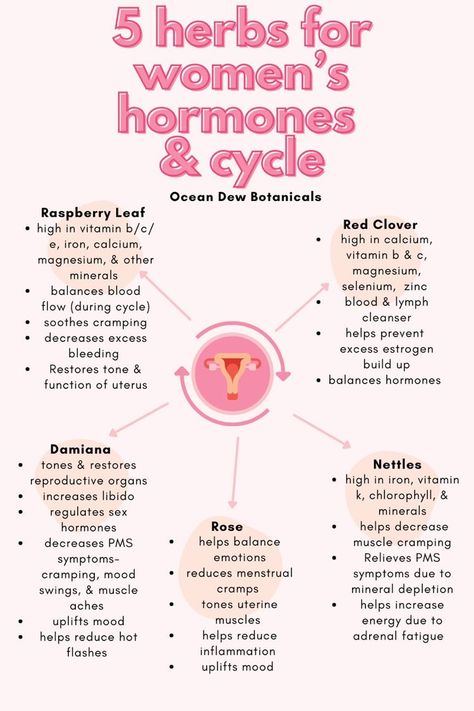 Hormone Nutrition, Osteoporosis Prevention, The Moon Cycle, Monthly Cycle, دورة شهرية, Womb Healing, Cycle Syncing, Balance Your Hormones, Healthy Hormones