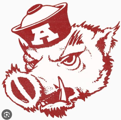 Arkansas Tattoo, Vintage Arkansas, Razorback Shirt, Tri Delt, Baby Hazel, American Flag Wallpaper, Fly Fishing Gear, Vintage College, University Of Arkansas