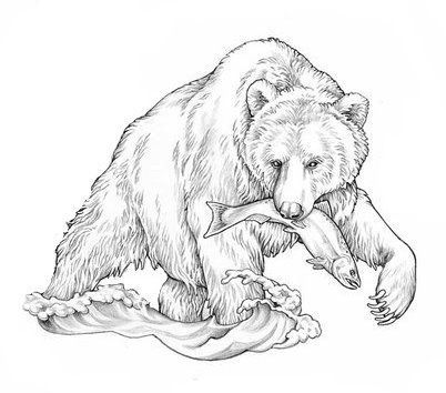 Bear Drawing Simple, Bear Tattoo Ideas For Women, Grizzly Tattoo, Drawing Bears, Bear Sketch, Bear Tattoo Designs, Bear Drawings, Deer Drawing, Pyrography Patterns