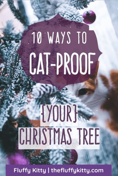 Cat Proof Christmas Tree, Crismas Tree, Cat Deterrent, Fluffy Kitty, Cat Climbing Tree, How To Cat, Cat Proofing, Cat Christmas Tree, Christmas Tree Branches