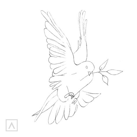 How to Draw a Dove – Arteza.com Flying Dove Tattoo Design, Dove Bird Drawings, Dove Illustrations Vintage, Dove Sketch Simple, Drawing Doves Bird, Dove Drawing Reference, Morning Dove Drawing, How To Draw Dove, Dove Outline Drawing