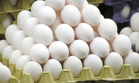 Eggs stacked in bulk carton Selling Eggs, Storing Eggs, Egg Benefits, Types Of Eggs, Egg Packaging, Laying Hens, Backyard Poultry, Eating Eggs, Plant Projects