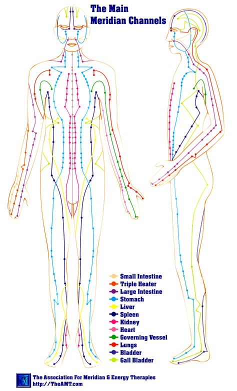 Meridian Channels - The Main Body Meridians ~ The meridian system (simplified Chinese: 经络; traditional Chinese: 經絡; pinyin: jīngluò, also called channel network) is a traditional Chinese medicine belief about a path through which the life-energy known as "qi" flows.[1][2][3][4] Acupuncture Charts, Acupuncture Points Chart, Meridian Energy, Meridian Points, Shiatsu Massage, Energy Medicine, Acupuncture Points, Qi Gong, Acupressure Points