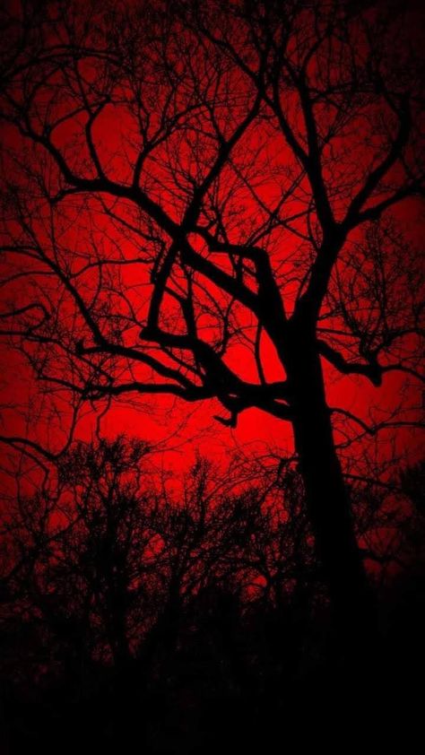 Red Cemetery, Redcore Aesthetic, Red Colour Wallpaper, Facts About Halloween, Paranormal Pictures, Red Gothic, Dark Red Wallpaper, Romantic Wallpaper, Halloween Facts