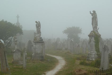 Foggy Graveyard by SolusShadow, via Flickr Foggy Graveyard, Gothic Graveyard, Ghost Project, Rennaissance Art, American Gothic, Angel Aesthetic, Southern Gothic, Angel Statues, Gothic Aesthetic