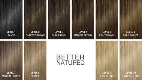 Hair Level Guide: What Is My Hair Color Level? Levels Of Hair Color, Level 6 Hair Color, Level 7 Hair Color, Hair Color Quiz, Choosing Hair Color, Hair Levels, Blonde Natural, Perfect Hair Color, Level 8