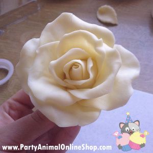 Making a Rose with White Chocolate Modelling Paste Steph @ PartyAnimalOnline Cake, Fondant, Fondant Rose, White