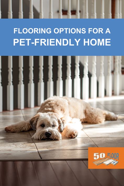 Keeping your pet happy is at the top of your list, but so is upkeep on your home. Find the flooring that is the best of both worlds! Shop pet-friendly flooring now! #petfriendly #homeflooring Pet Friendly Flooring, Waterproof Laminate Flooring, Cheap Flooring, Slippery Floor, Natural Flooring, My Lifestyle, Muddy Paws, Durable Flooring, Best Flooring