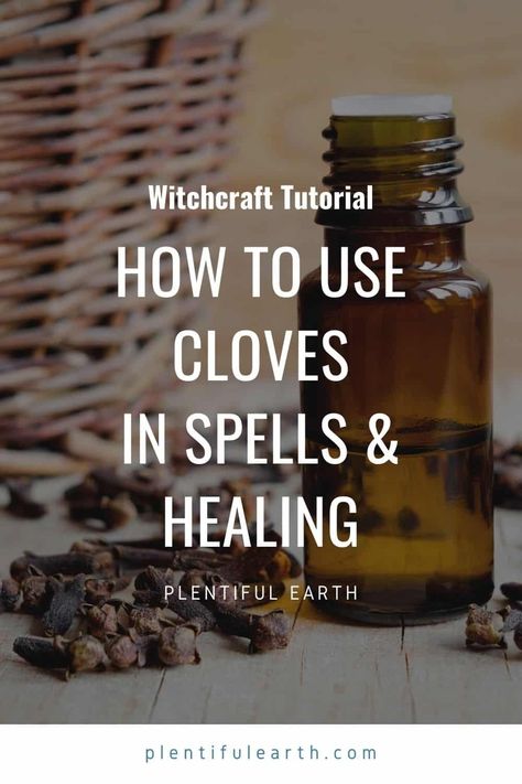 Cloves: Spiritual Meanings & Magical Uses In Spells & Witchcraft Clove Magical Use, Cloves Benefits Witchcraft, Clove Uses Witchcraft, Spiritual Benefits Of Clove, How To Use Cloves, Clove Water Benefits, Clove Essential Oil Benefits, Clove Oil Uses, Clove Benefits