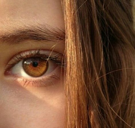 Ranin💜| 🎼 (@ranin852) | Twitter Amber Brown Eyes, Isabella Aesthetic, Honey Eyes, Brown Eyes Aesthetic, Maquillage Yeux Cut Crease, Model Tips, Eyes Aesthetic, Beautiful Eyes Color, Alice Cullen