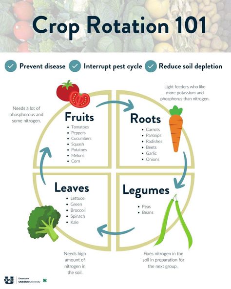 Garden Extension, Vegetable Garden Planner, Musical Chairs, Utah State University, Yard And Garden, Vegetable Garden Planning, Homestead Gardens, Vegetable Garden Diy, Permaculture Gardening