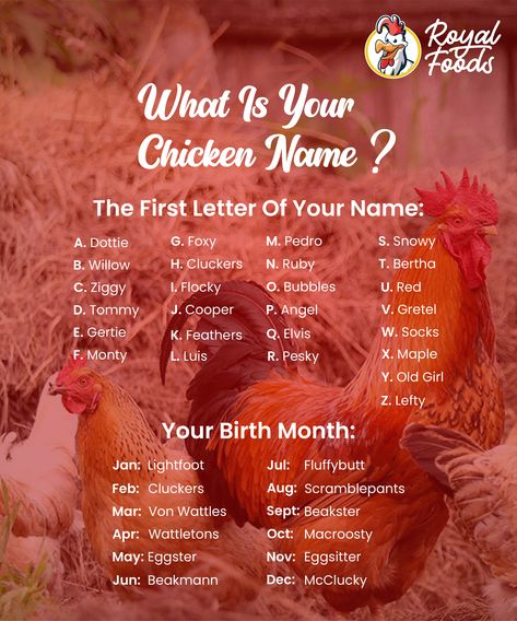 #royalfoods #foodlover #chickenlover #chickensofinstagtam #likeforlike #instatrend First Letter Of Your Name, Name Games, Name Generator, Birthday Party Games, Raising Chickens, Birth Month, Party Games, Your Name, The First