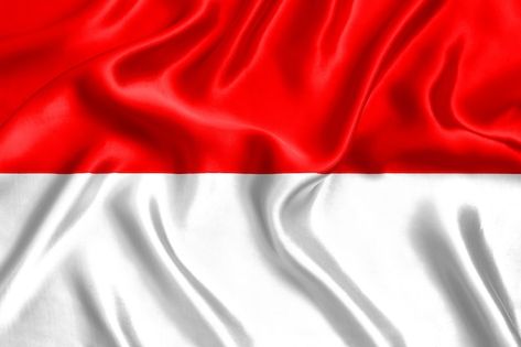 Indonesian Flag, Flag Photo, Flag Background, Cartoon Profile Pics, National Flag, Premium Photo, Close Up, Indonesia, Flag