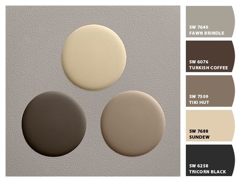 Sherwin Williams paint colors Color Palette For Home, Colour Pallettes, Colour Blind, Sherwin Williams Paint, Interior Paint Colors Schemes, House Paint Color Combination, Paint Palettes, House Shutters, Hampton Style