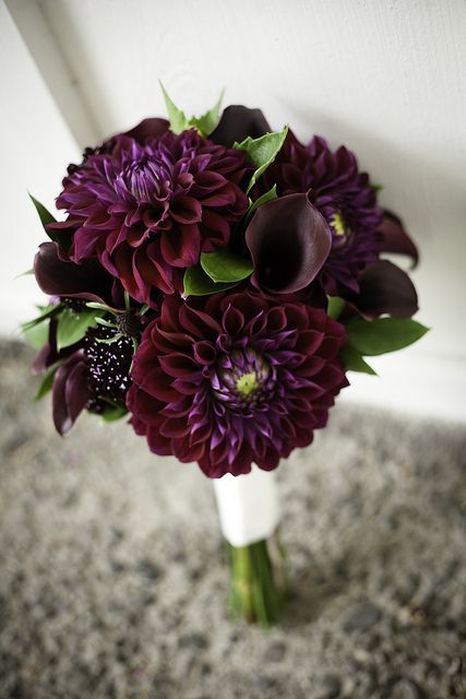 Delilah and Calla lilies bouquet Dark Bouquet, Purple Dahlias, Dahlia Wedding Bouquets, Dark Purple Wedding, Dahlia Wedding, Dahlias Wedding, Dahlia Bouquet, Purple Dahlia, Bouquet Bride