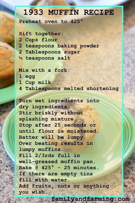 Dry Muffin Mix Recipes, Plain Muffin Recipe Easy, Easy Homemade Muffins Simple, Basic Muffin Base Recipe, Easiest Muffin Recipe, Basic Muffin Mix Recipes, How To Make Muffins From Scratch, Diy Muffin Mix Recipes, Homemade Muffins Recipe Easy