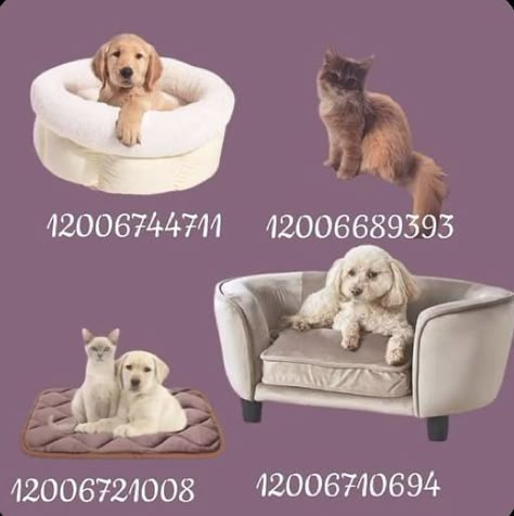 Stitch Decals Bloxburg, Bloxburg Cat Decal Codes Realistic, Bloxburg Pets, Bloxburg Pet Decals, Cat Decals Bloxburg, Bloxburg Dog Decal Codes, Bloxburg Halloween, Micro Lady Dior, Bloxburg Food Decals