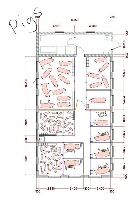 Piggery Farm Design Layout, Ranch Ideas Farms, Piggery Farm Design, Pig House Ideas, Pigs Farming Livestock, Poultry Farm Design, Hog Farm, Livestock Shelter, Raising Pigs