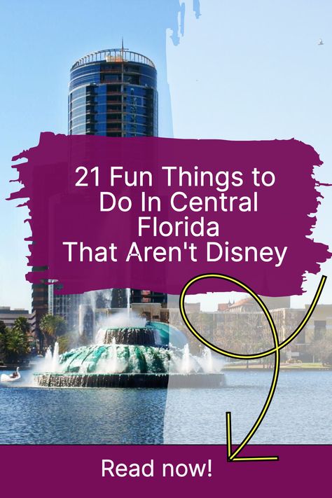 There are so many fun things to do in Central Florida! I’ve lived here since 2005, and I still have a few items on my Central Florida bucket list. In this article, I’ll share with you some of the things I’ve done, as well as the things I still want to do. To make these places easier for you to find and visit, I’ve grouped them according to county and included links to each one. Read Now! Florida Bucket List, All About Elephants, Brevard County Florida, Lake Eola, Mediterranean Style Home, Merritt Island, Silver Springs, Kayak Tours, Full Time Rv