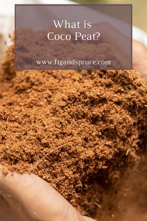 Learn about coco peat and the different applications and benefits of using it in gardening! Aura Verde, Peat Soil, Coco Peat, Sell Old Coins, Beginner Gardening, Dark Black Wallpaper, Bangles Design, Hydroponic Gardening, Draw On Photos