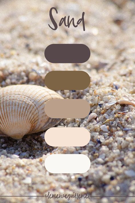 Sand Dune Color Palette, Sand Color Pallete, Sahara Color Palette, Sandstone Color Palette, Seashell Color Palette, Color Palette Sand, Sand And Stone Color Palette, Sand Colour Palette, Sand Color Palette