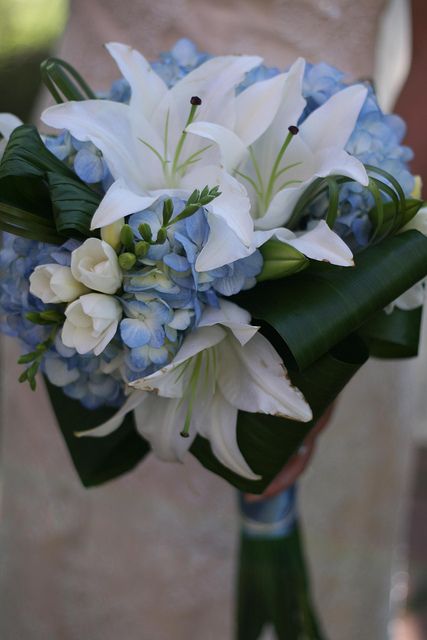 That's really classy and pretty. Maybe this is the one!    Blue Hydrangea/White lily Bridal bouquet by StefanieStar, via Flickr White Lily Bouquet, Blue Hydrangea Bouquet, Lily Bridal Bouquet, Hydrangea Bouquet Wedding, Prom Bouquet, Hydrangea White, Blue Flowers Bouquet, Blue And White Wedding, Bridal Bouquet Blue