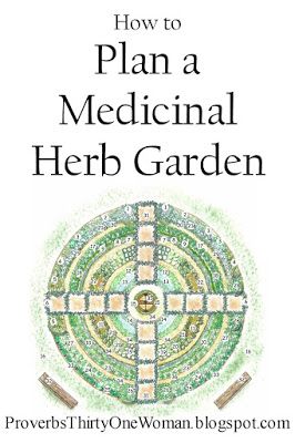 Medical Herb Garden, Medicinal Herb Garden, Medicinal Herbs Garden, Medical Herbs, Healing Garden, Medicinal Herb, Gardening Zones, Herb Garden Design, Tea Garden