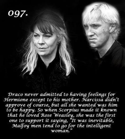 Maybe Dramione shippers are on to something and AVPM actually hit on the truth of Draco's existence. Description from pinterest.com. I searched for this on bing.com/images Rose Granger Weasley Fanart, Rose Weasley, Scorpius And Rose, Headcanon Harry Potter, Hp Quotes, Citate Harry Potter, British Slang, Images Harry Potter, Potter Facts