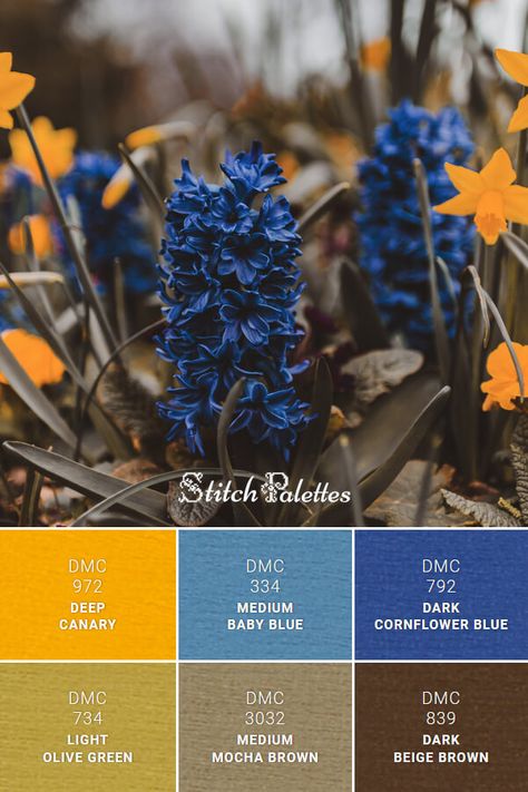 Dark Blue And Brown Color Palette, Brown Blue Color Palette, Color Schemes With Brown, Brown And Blue Color Palette, Dark Brown Color Palette, Blue And Brown Color Palette, Blue And Yellow Color Palette, Colour Palette Blue, Yarn Color Combinations